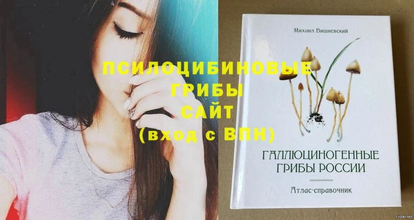 МДПВ Карталы