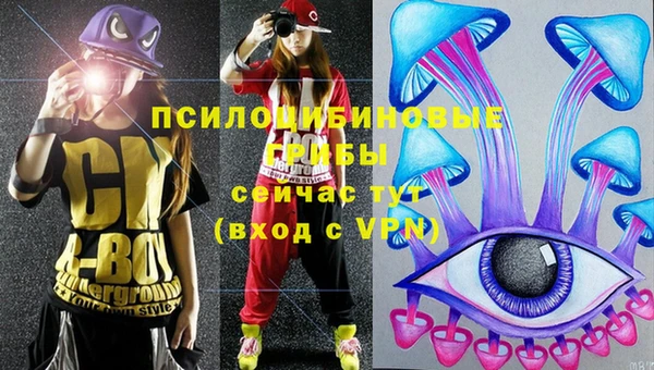 МДПВ Карталы