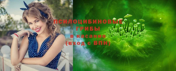 spice Кинешма